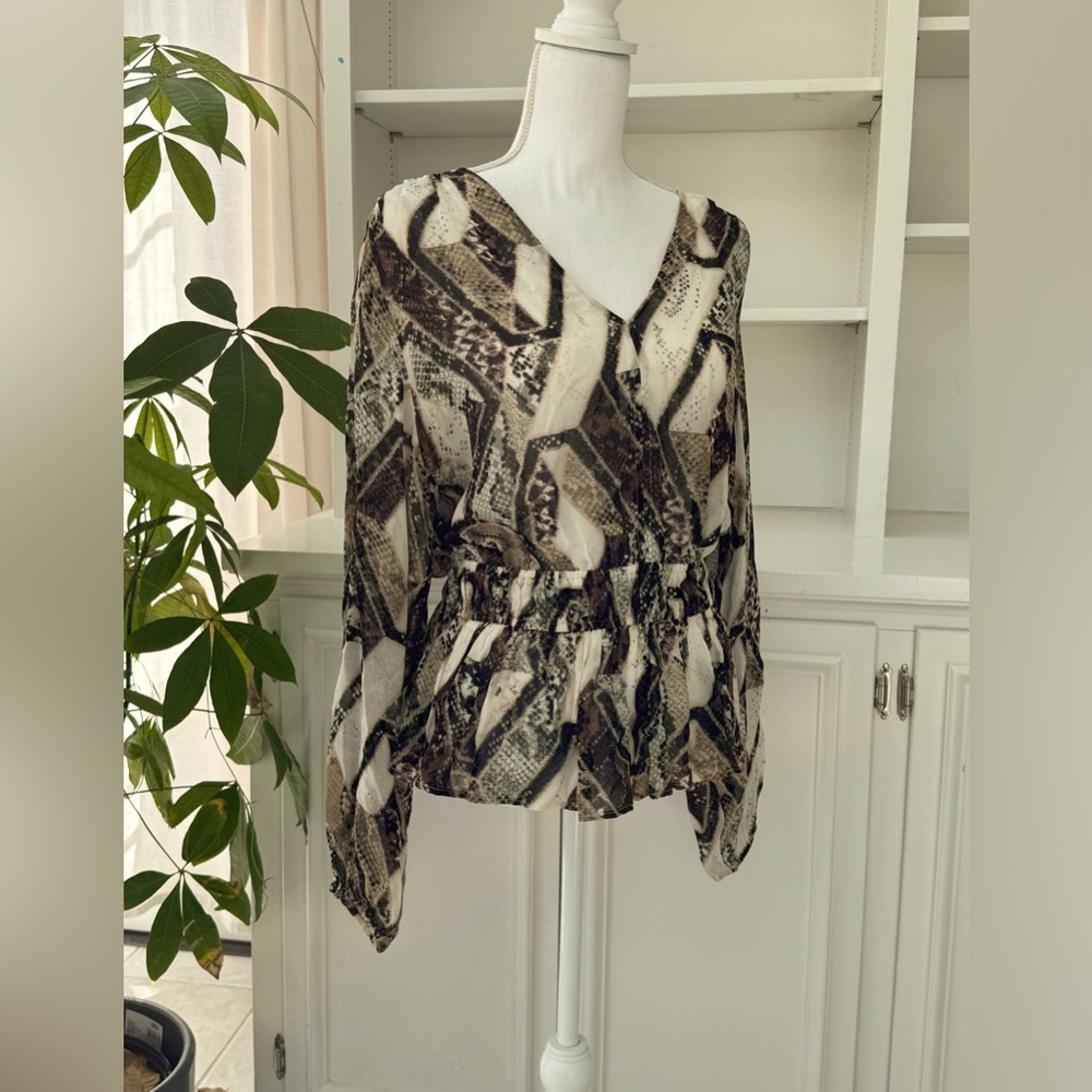 Sheer top/blouse